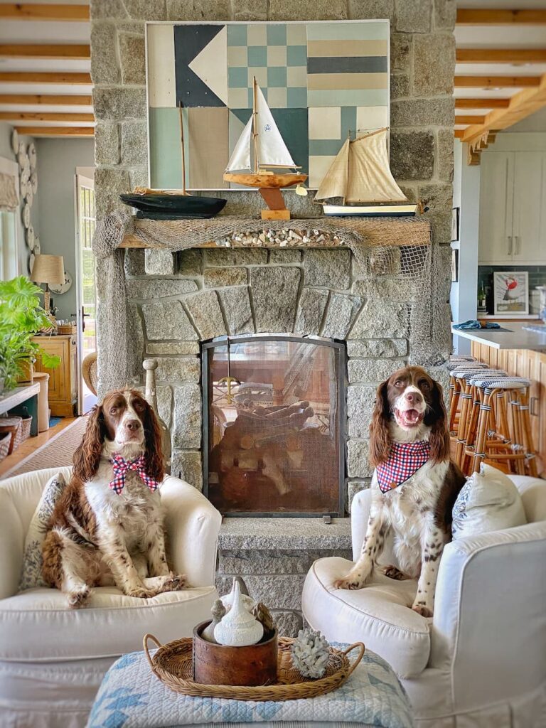 Coastal Maine home with dogs wearing patriotic bows