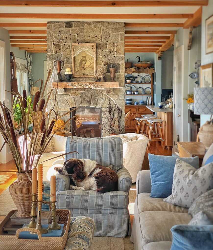 Cozy living room with stone fireplace and dog