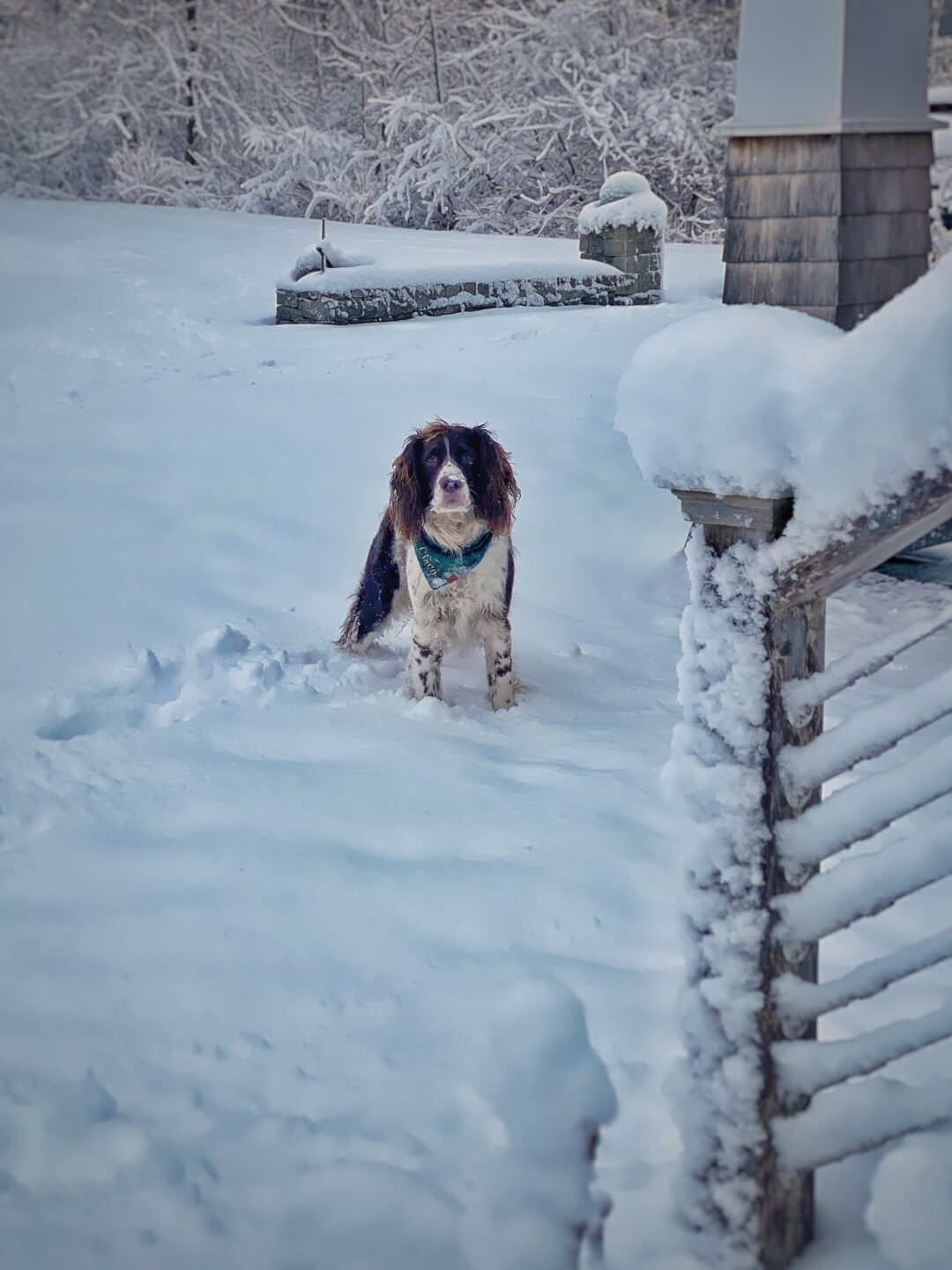 A Cozy Snow Day on the Coast of Maine - Molly in Maine