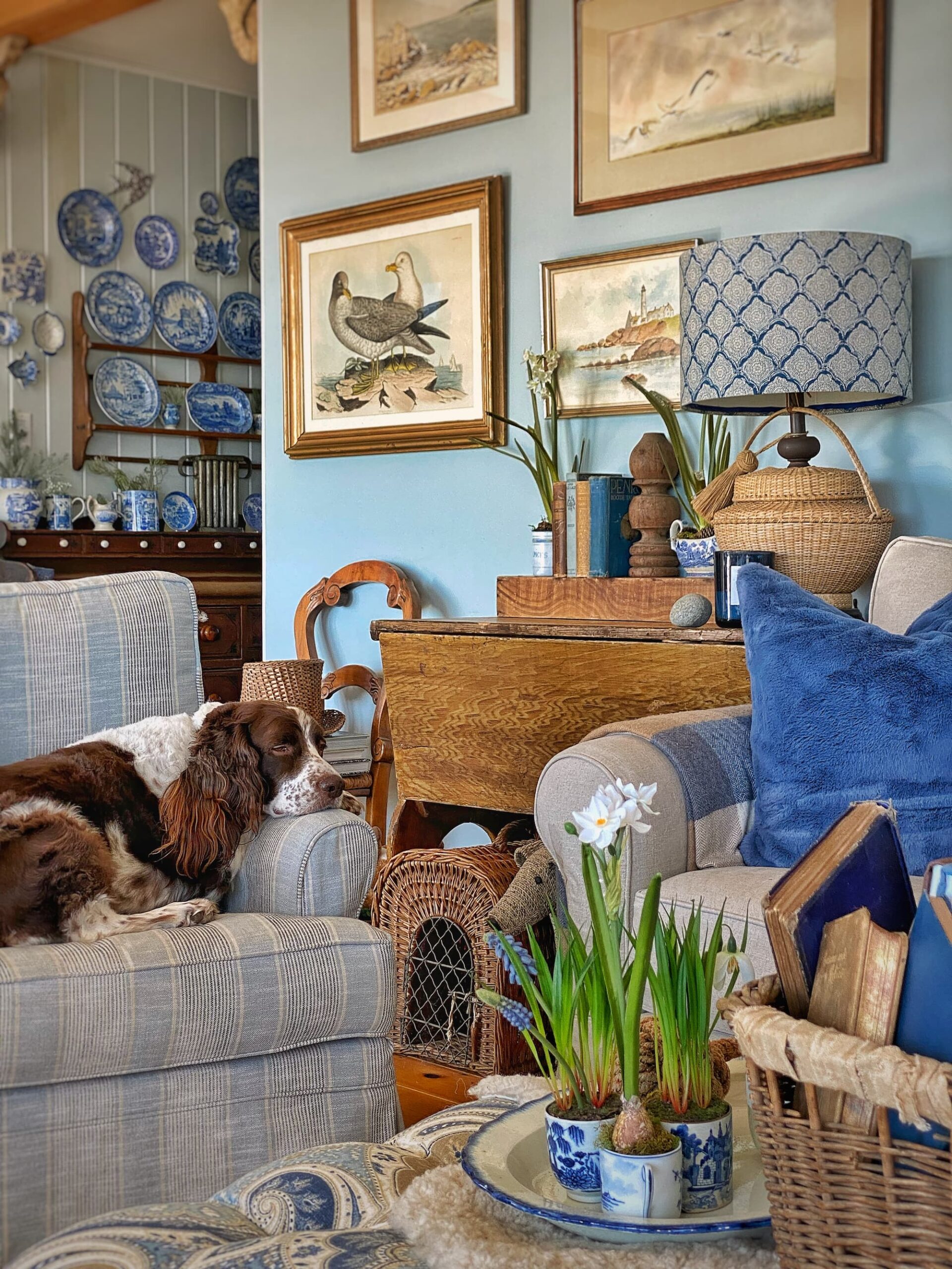 My February Home A Little Cozy & A Little Fresh Molly in Maine