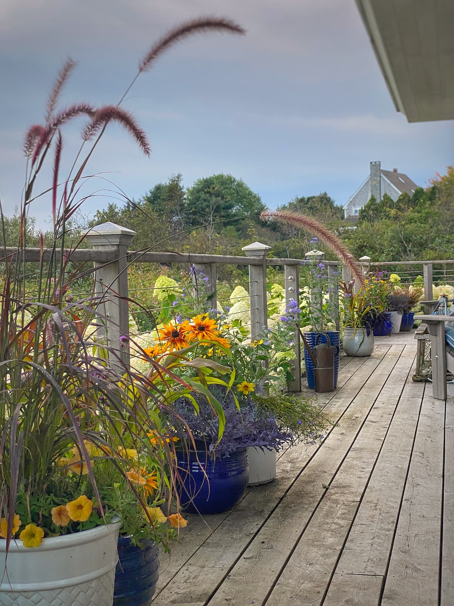 Fresh Color and Texture For Your Planters Heading Into Fall - Molly in ...