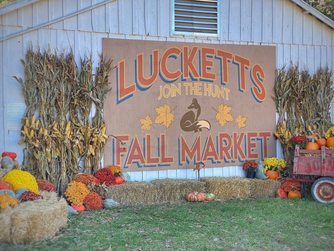 A Vintage Hip Day At The Lucketts Fall Market Molly in Maine