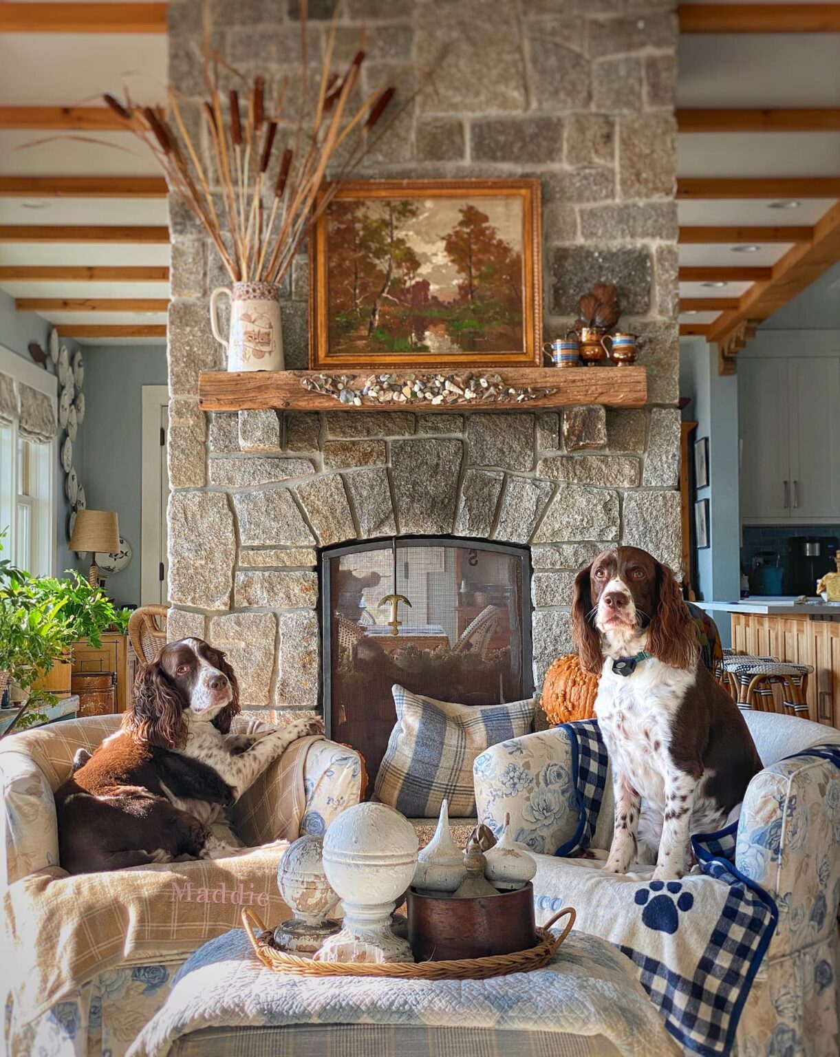 Easy Ways to Add Fun, Comfort, and Beauty to Your Home for Fall - Molly ...