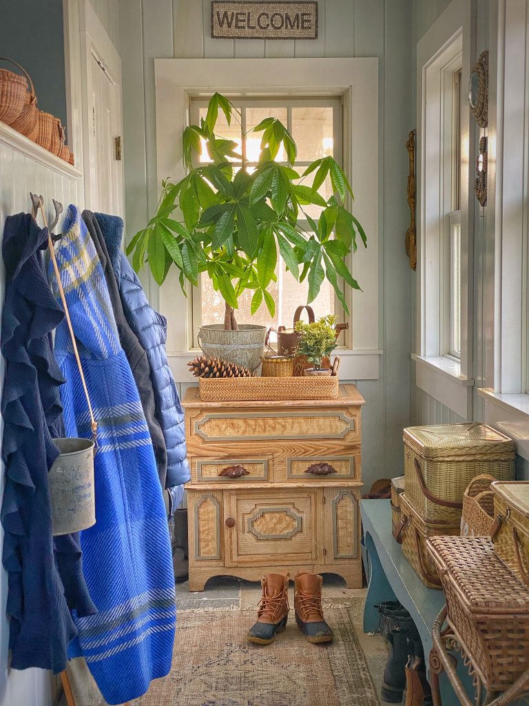 Entryway with jackets and plant