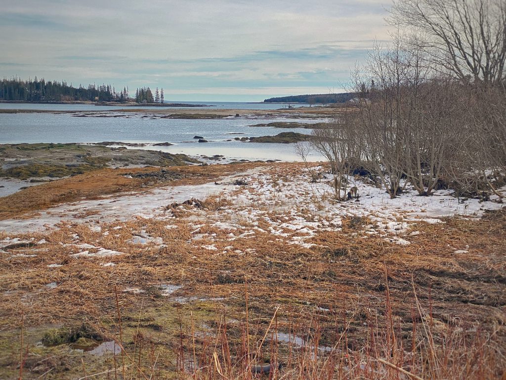 Muddy winter coastal view in Maine