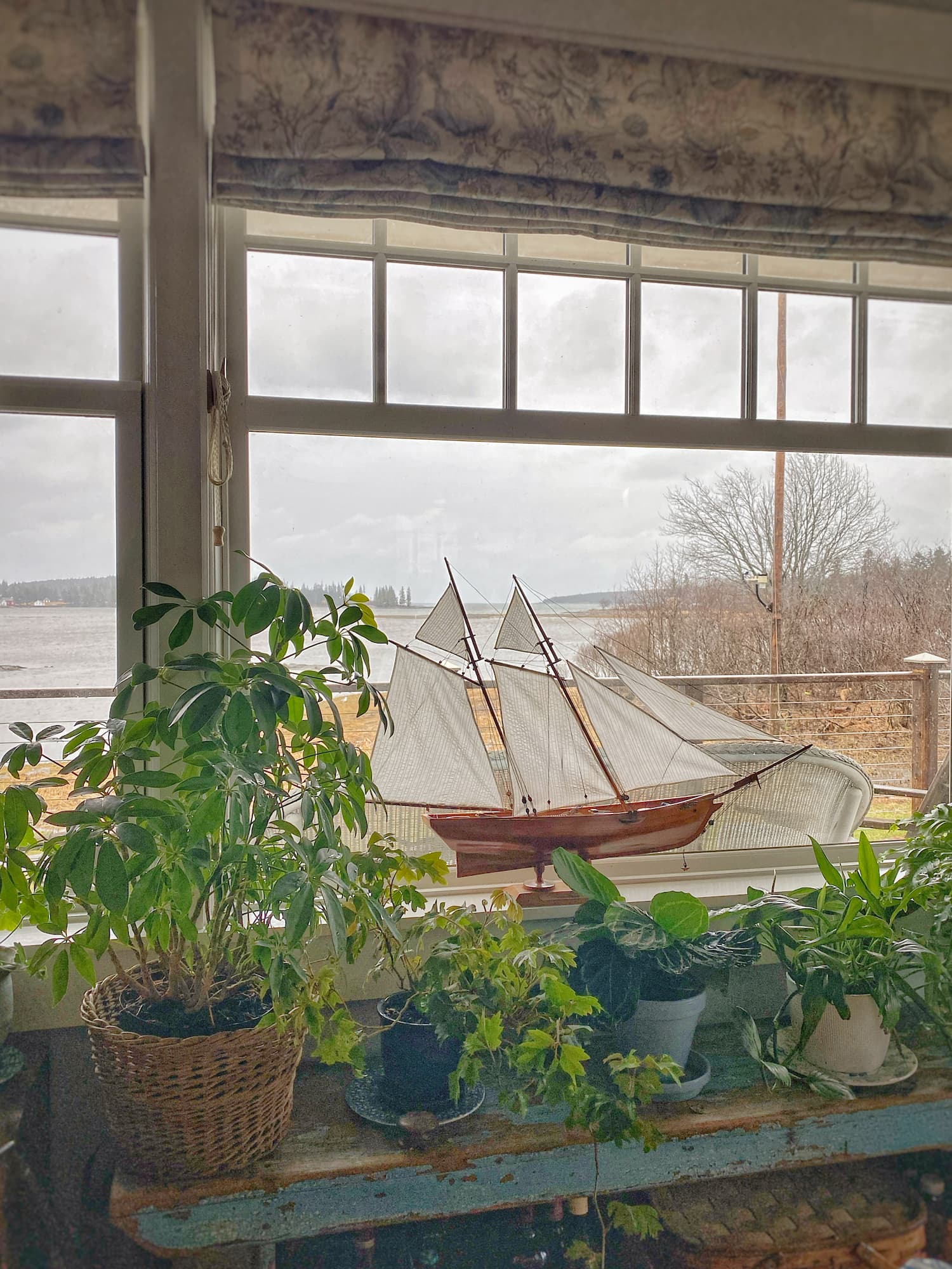 Easy-care houseplants in Maine coastal cottage.