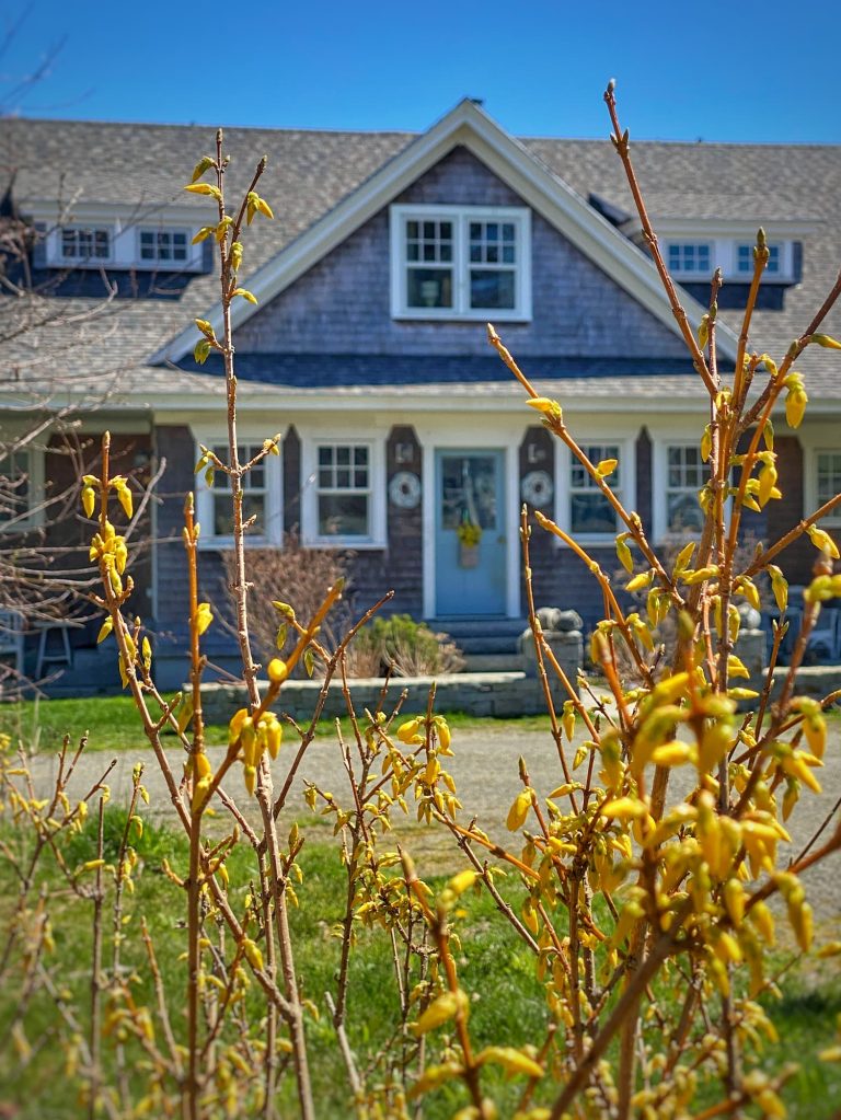 Signs of Spring On the Maine Coast — Inside and Out