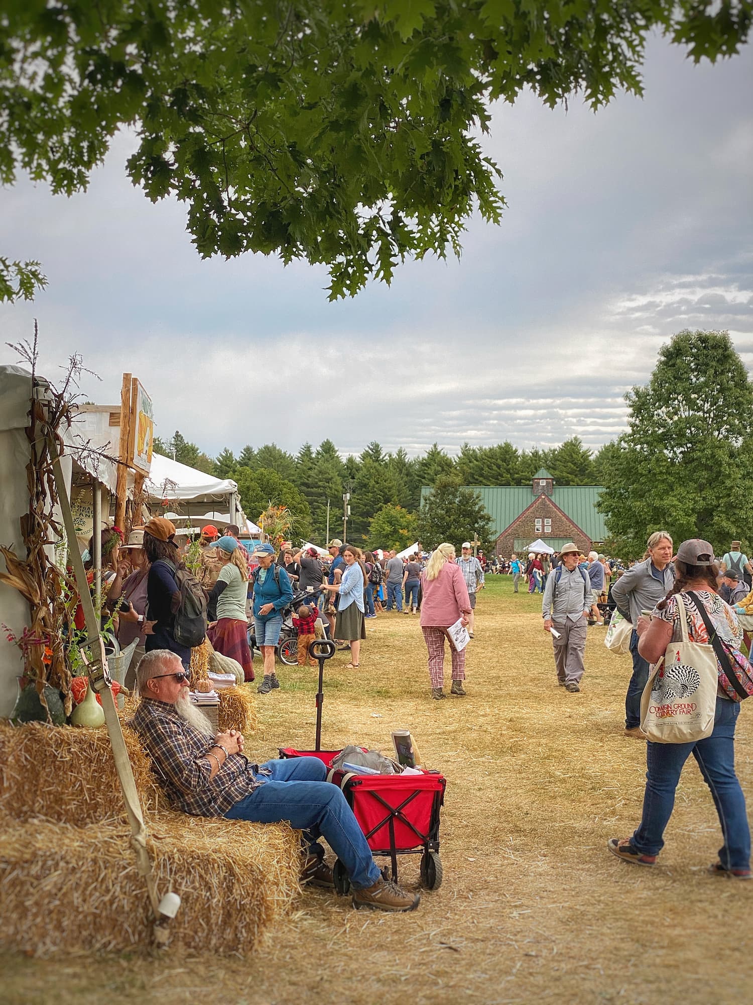 Join Me For a Fun-Filled Day at the Maine Common Ground Fair!