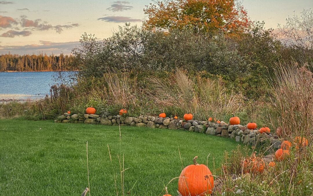 Fading Flowers, Pumpkins & Lobster Buoys | A Coastal Maine Fall