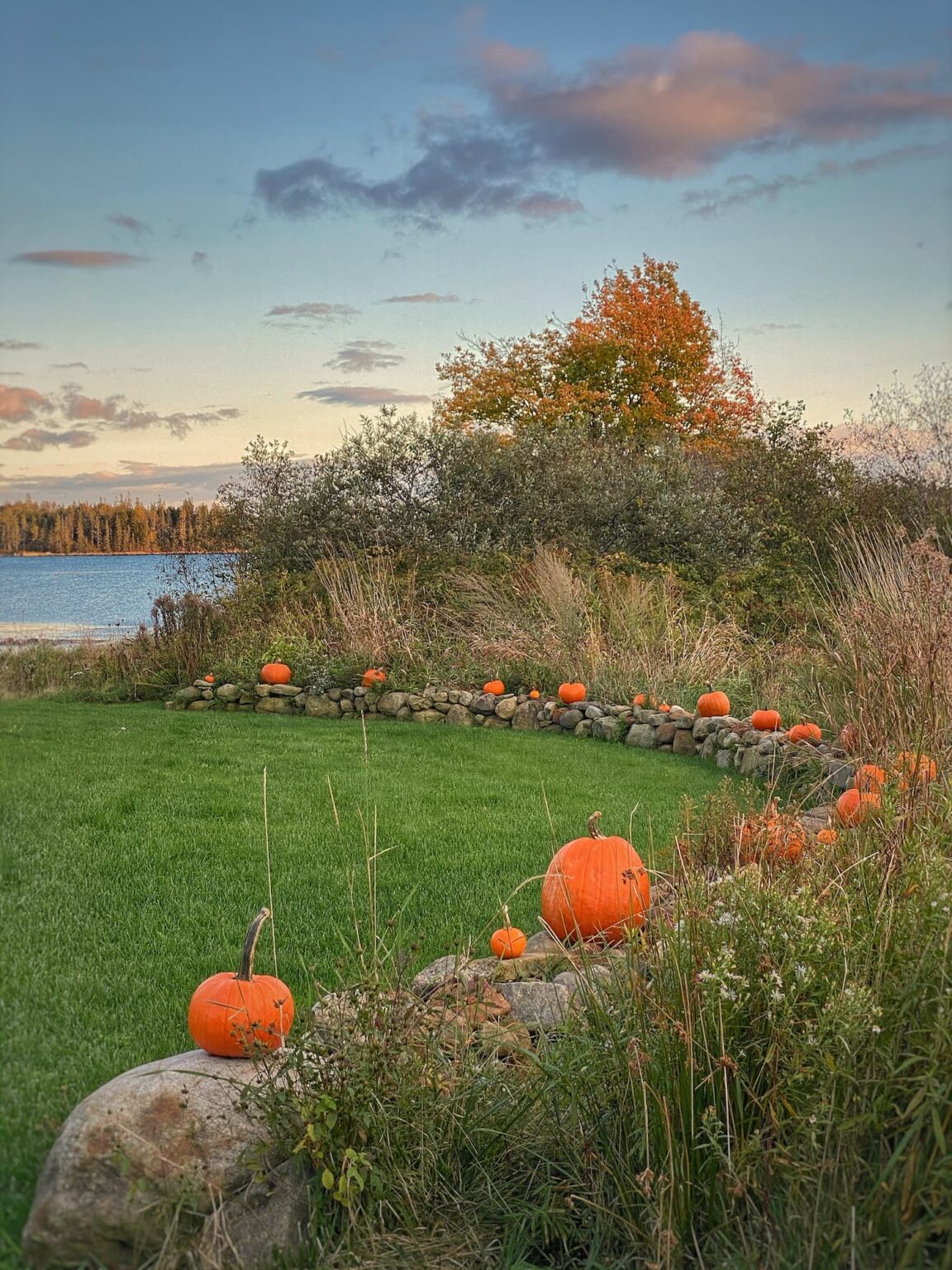 Fading Flowers, Pumpkins & Lobster Buoys A Coastal Maine Fall Molly