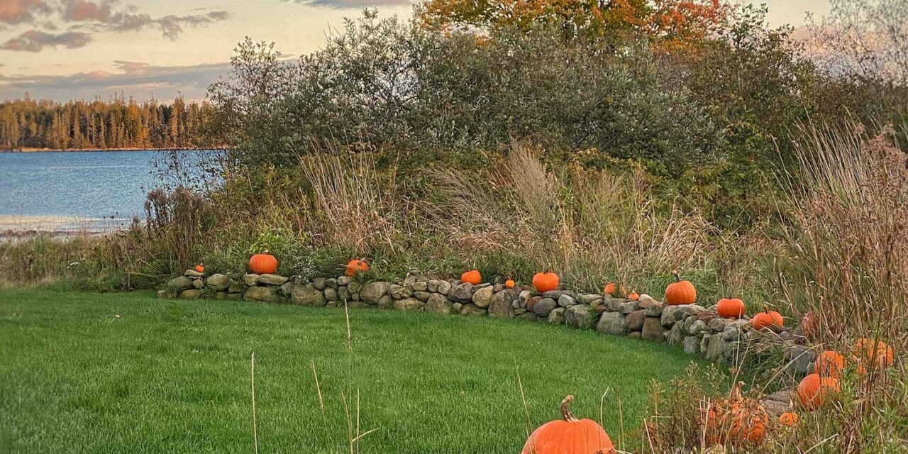 Fading Flowers, Pumpkins & Lobster Buoys | A Coastal Maine Fall