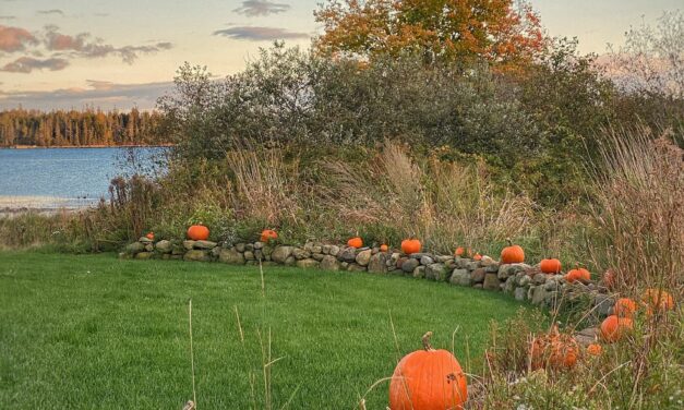 Fading Flowers, Pumpkins & Lobster Buoys | A Coastal Maine Fall