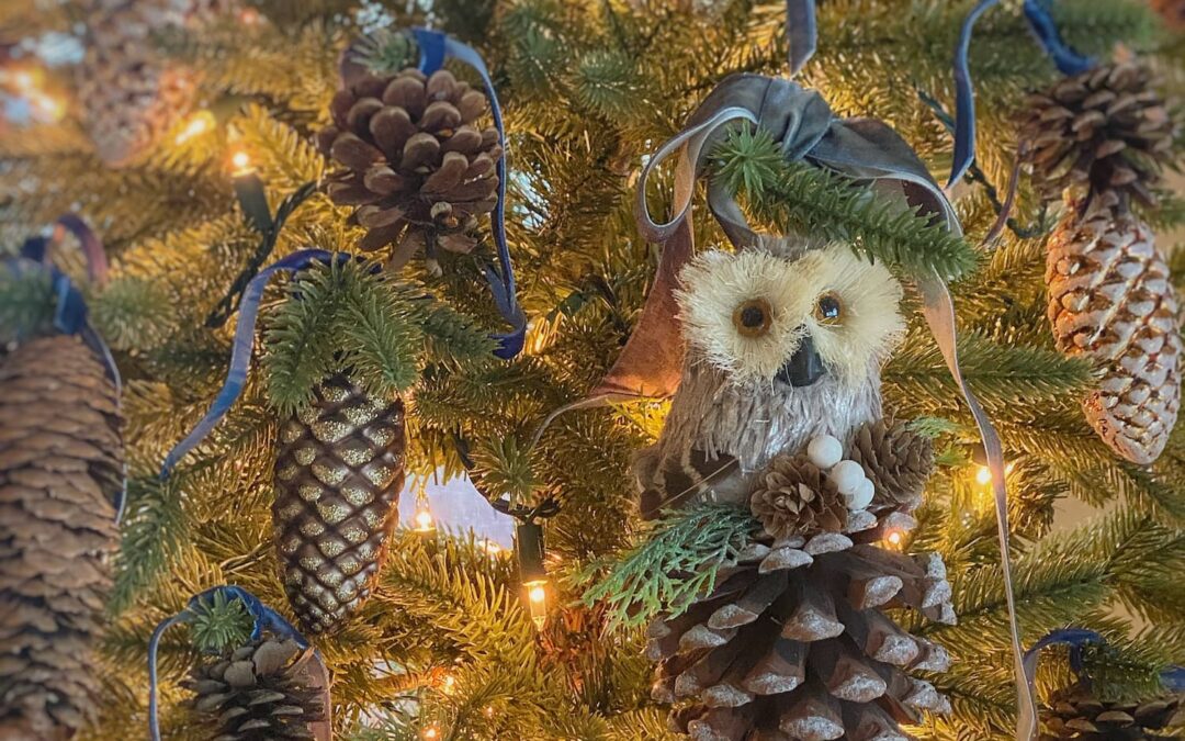 The Search for the Perfect Small Christmas Tree: My Favorites and the One I Ordered