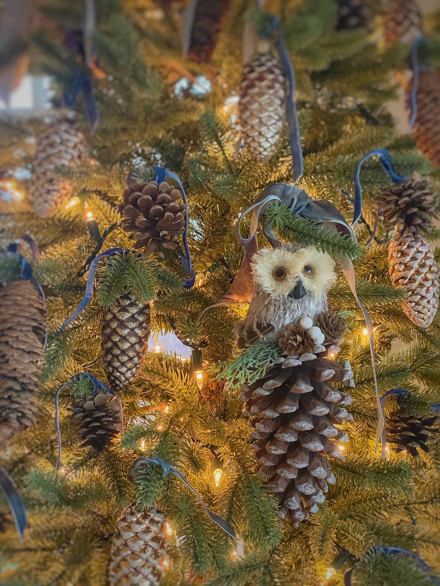 The Search for the Perfect Small Christmas Tree: My Favorites and the One I Ordered