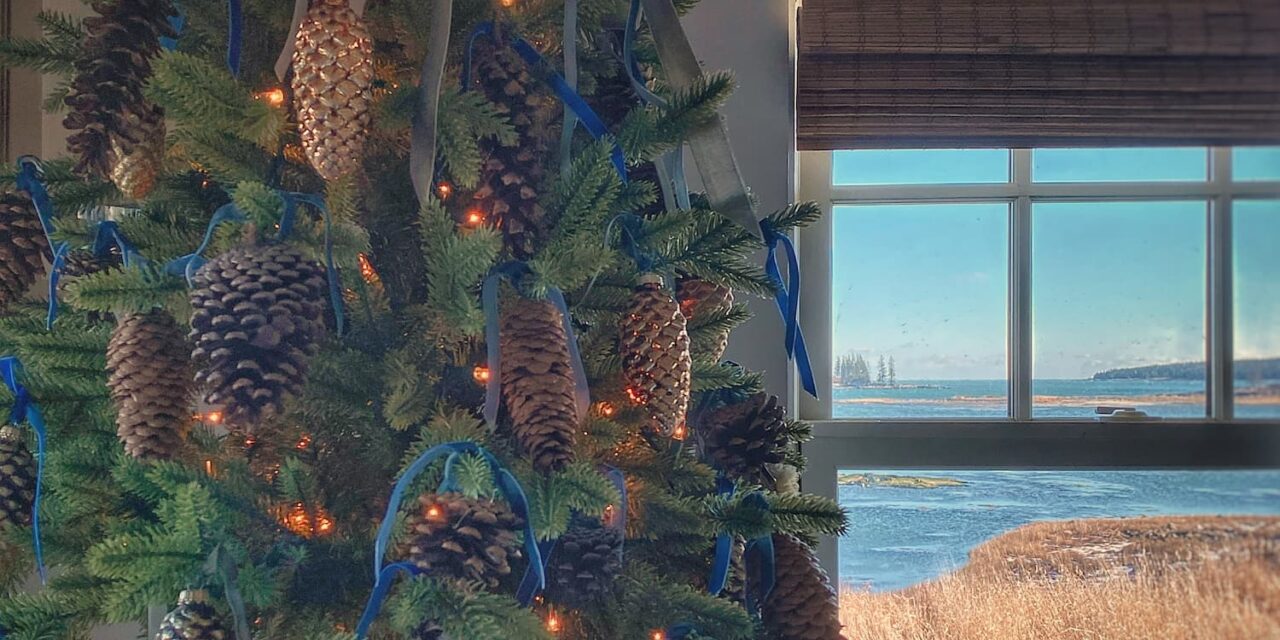 The Search for the Perfect Small Christmas Tree: My Favorites and the One I Ordered