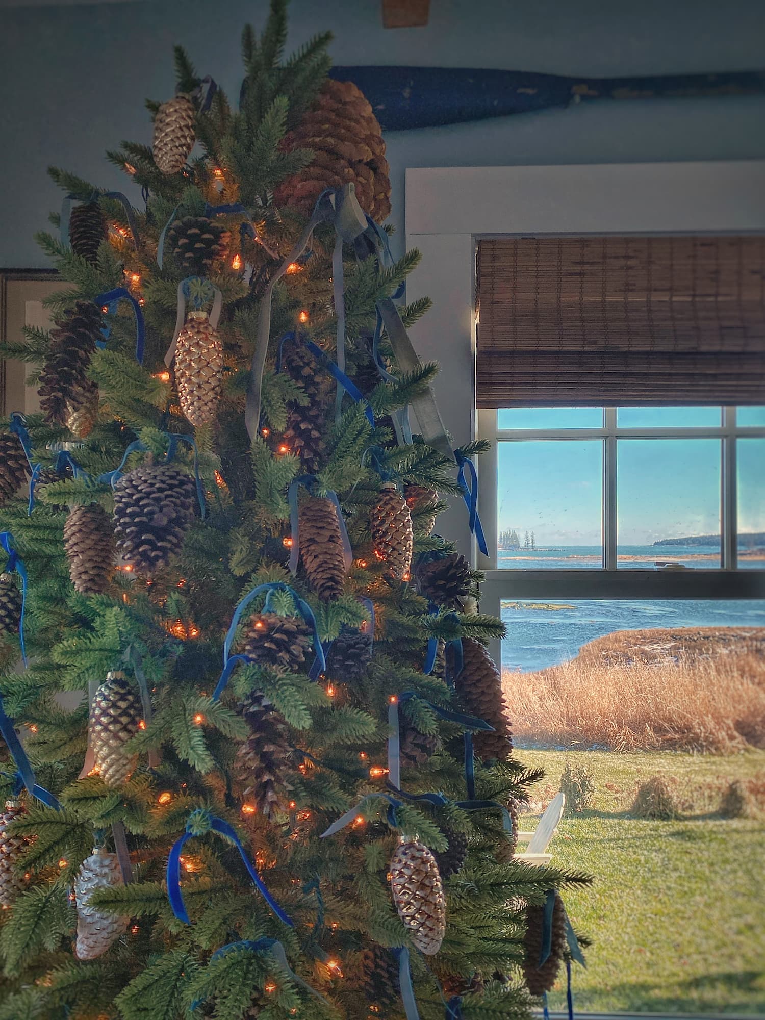 The Search for the Perfect Small Christmas Tree: My Favorites and the One I Ordered