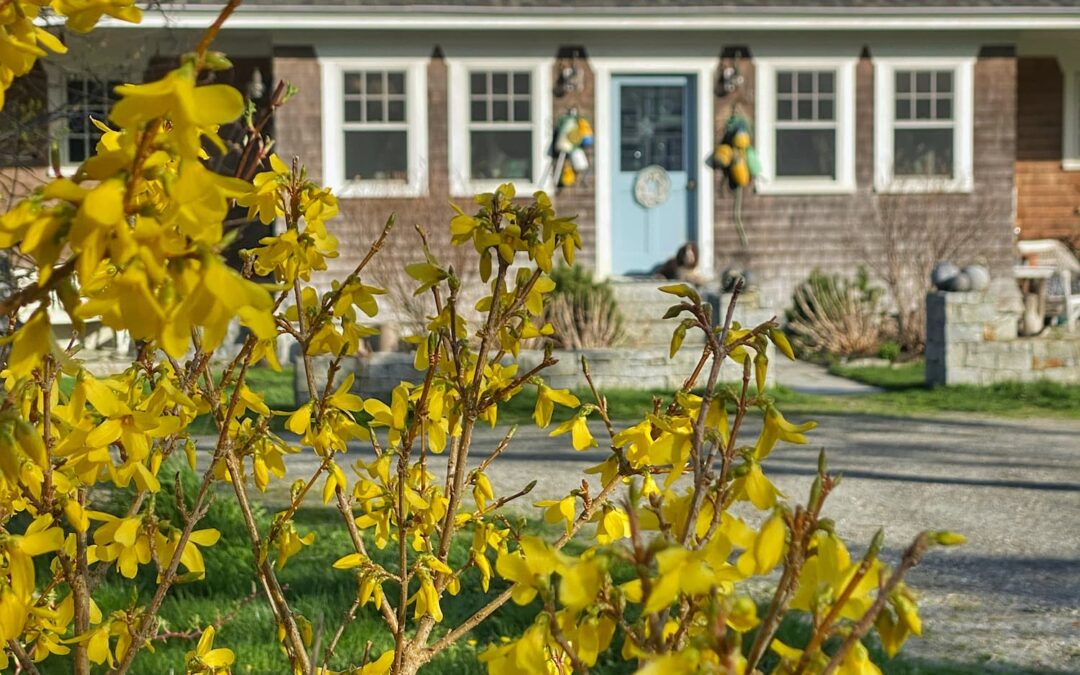 May on the Maine Coast | Blue Stripes, Bright Blooms, and Buoys