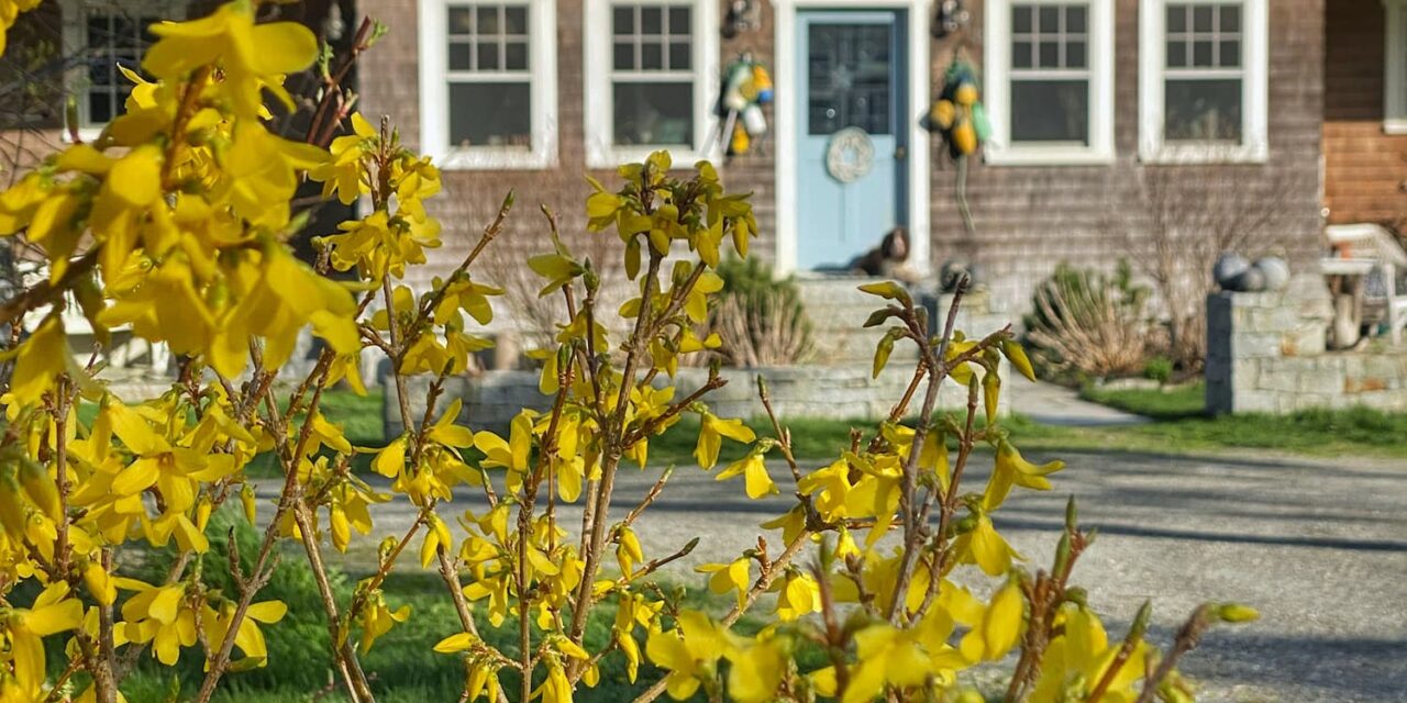 May on the Maine Coast | Blue Stripes, Bright Blooms, and Buoys