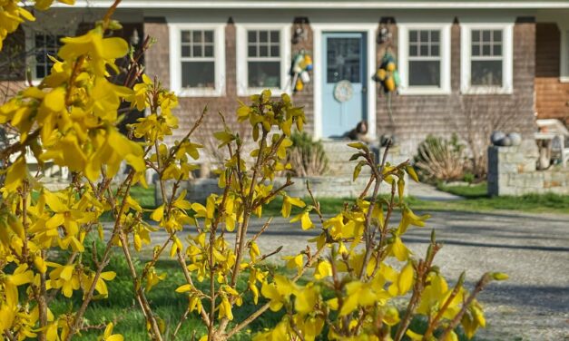 May on the Maine Coast | Blue Stripes, Bright Blooms, and Buoys