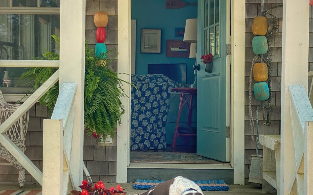Around My Maine Cottage | Summer Guests, Coastal Finds & a Little Something for the Dogs