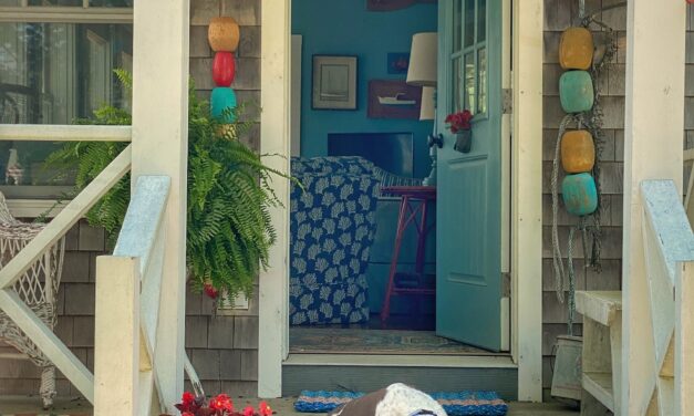 Around My Maine Cottage | Summer Guests, Coastal Finds & a Little Something for the Dogs