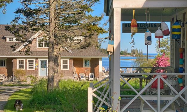 Looking Ahead to Summer on the Maine Coast