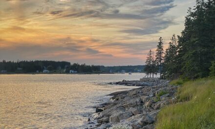 Exploring Midcoast Maine | Art, Eats, and Outings with My Family