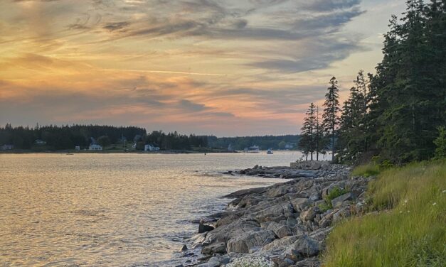 Exploring Midcoast Maine | Art, Eats, and Outings with My Family