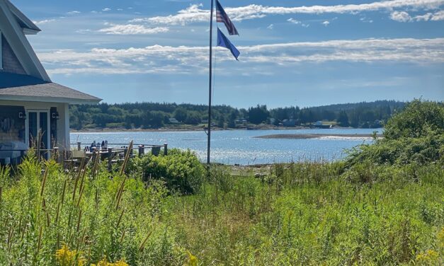 Savoring Summer in August | Art, Antiques, and a Bedding Refresh