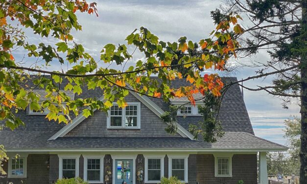 Simple Fall Switches | Cozy Guest Beds & Doorstep Decor
