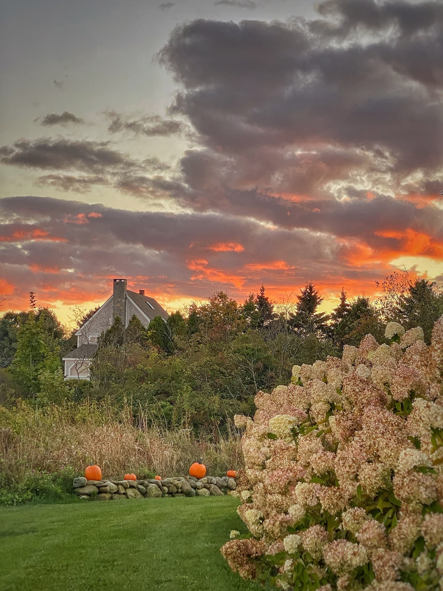 October Charm | Antiques, Pumpkins & a Cozy Cottage Update - Molly in Maine