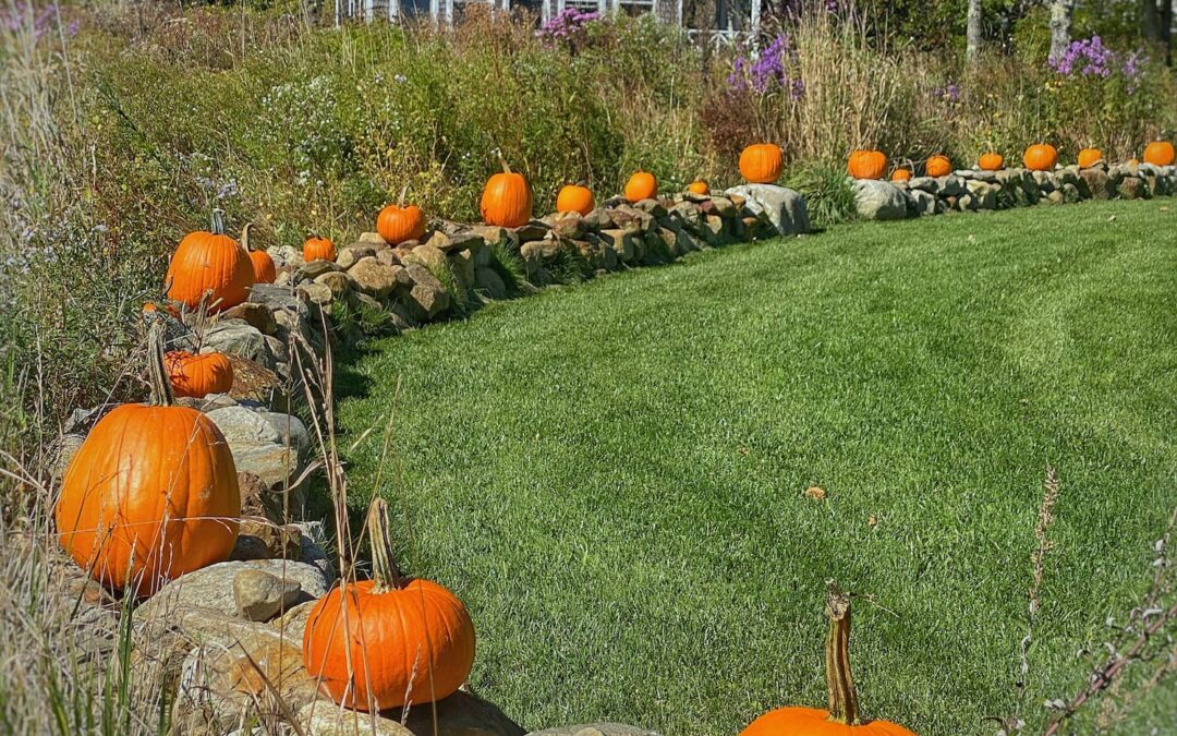October Charm | Antiques, Pumpkins & a Cozy Cottage Update