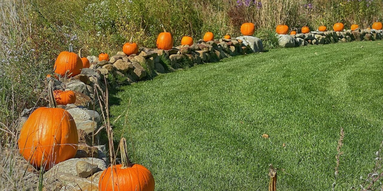 October Charm | Antiques, Pumpkins & a Cozy Cottage Update