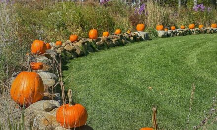October Charm | Antiques, Pumpkins & a Cozy Cottage Update