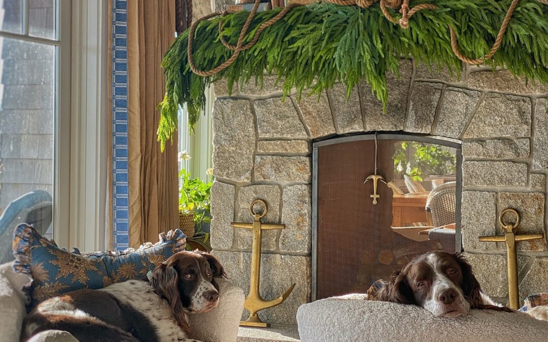 Step Inside My Coastal Cottage for a Cozy Seaside Holiday Home Tour