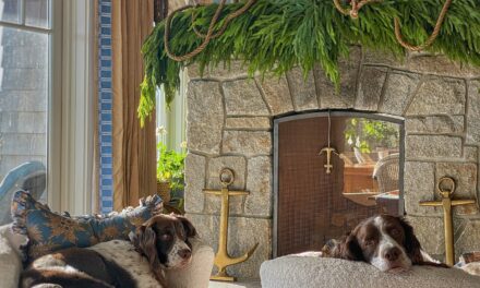 Step Inside My Coastal Cottage for a Cozy Seaside Holiday Home Tour