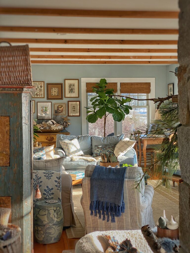 I’m Back | A Little Winter Life Update