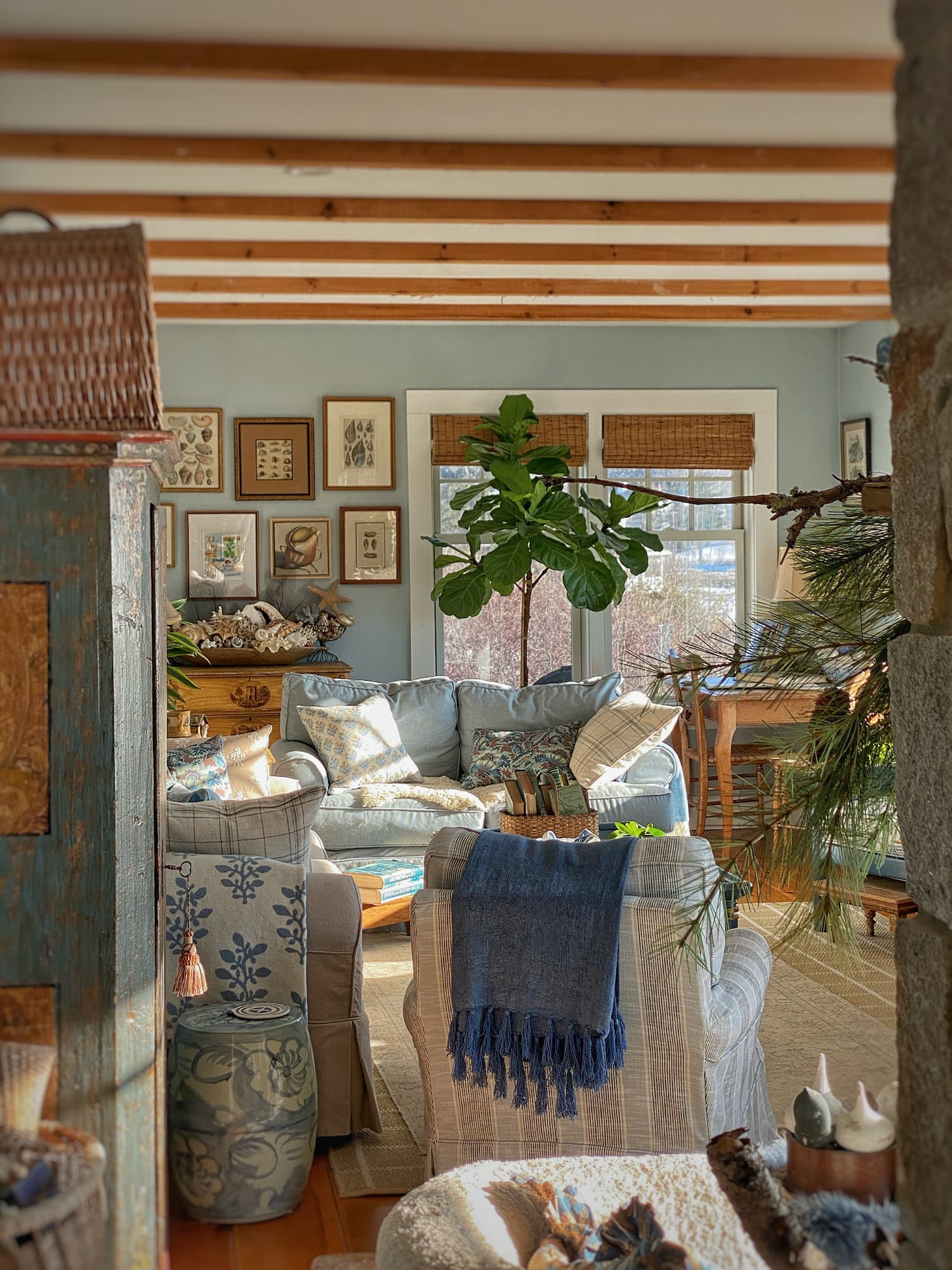 I’m Back | A Little Winter Life Update