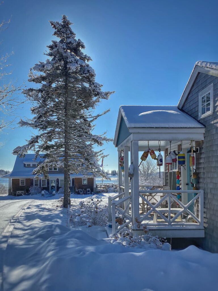 Snow-covered seaside Maine cottage with lobster buoys hanging on a porch and a tall pine tree after a late winter snowfall.