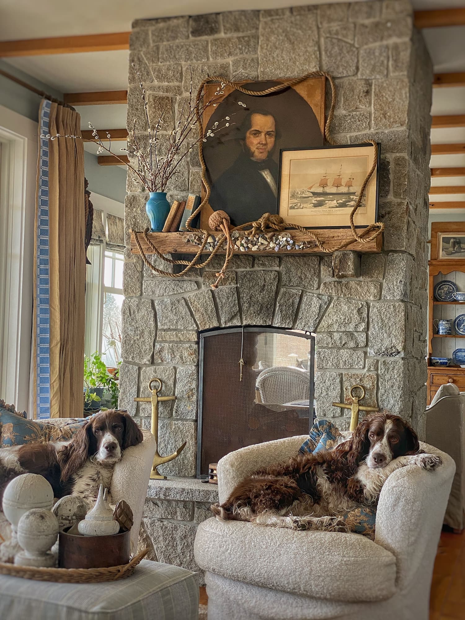 Spring living room with stone fireplace, willow branches on the mantel, and two brown and white dogs resting in white chairs in a coastal Maine home.