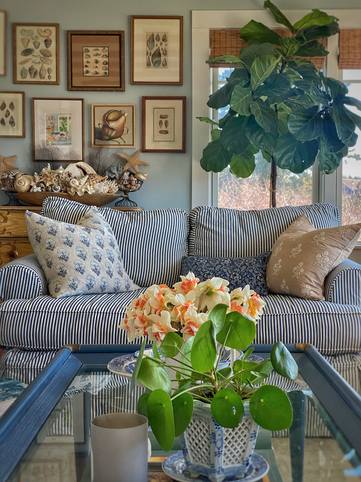 Spring living room with blue and white striped sofa, patterned pillows, coffee table with “fancy” daffodils and Chinese money plant, and coastal gallery wall