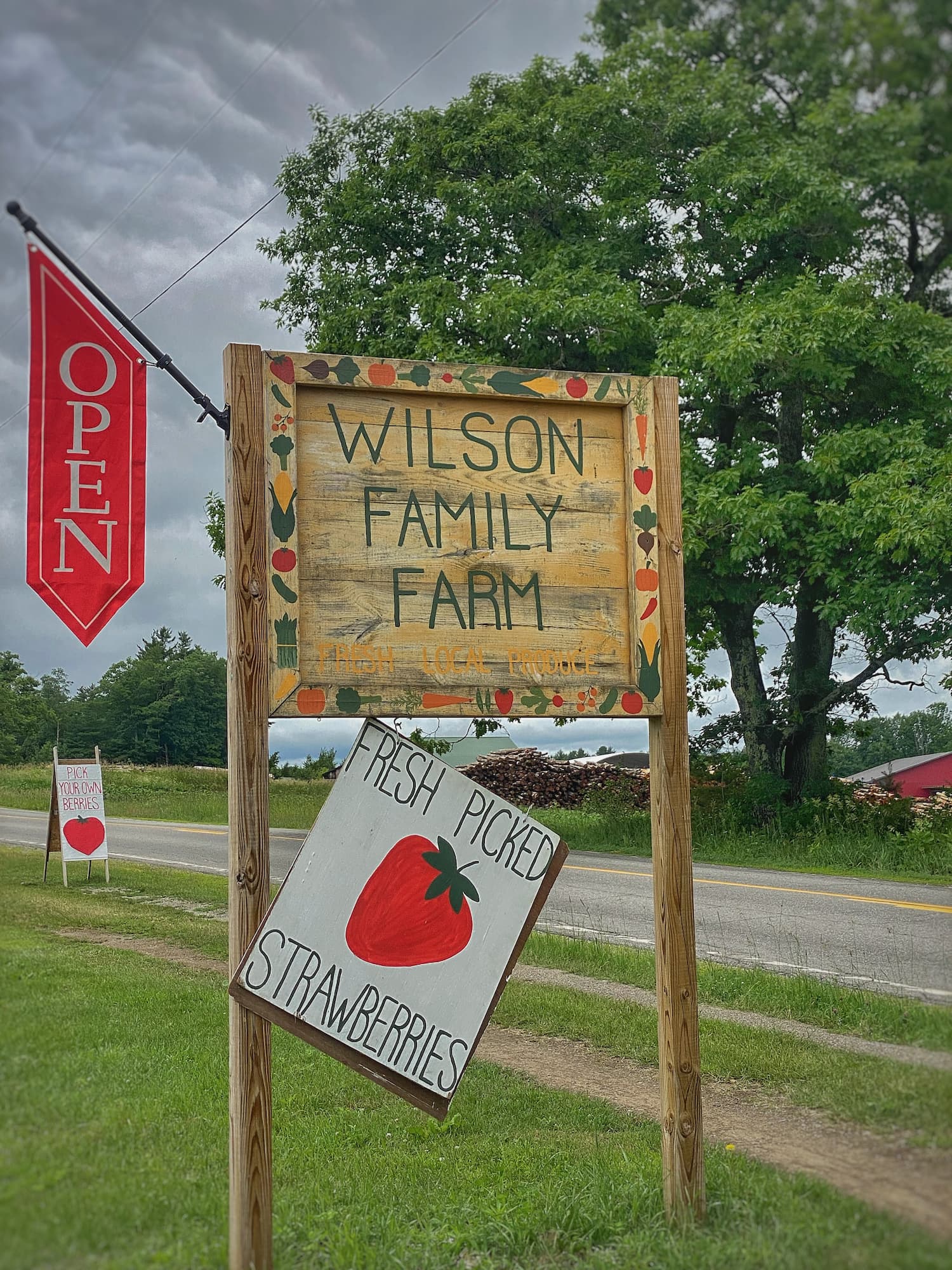 Handpainted signs for a family farm and fresh picked strawberries on a country road in Maine.