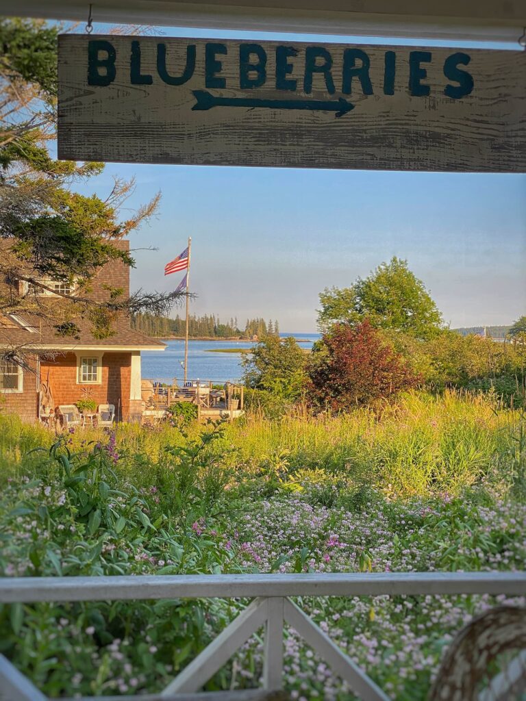 A vintage "Blueberries" sign frames a view of a wildflower meadow, harbor, and sparkling ocean on a summer day in coastal Maine.