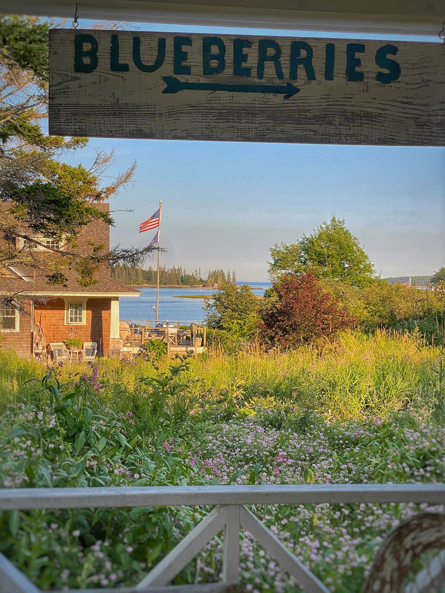 A vintage "Blueberries" sign frames a view of a wildflower meadow, harbor, and sparkling ocean on a summer day in coastal Maine.