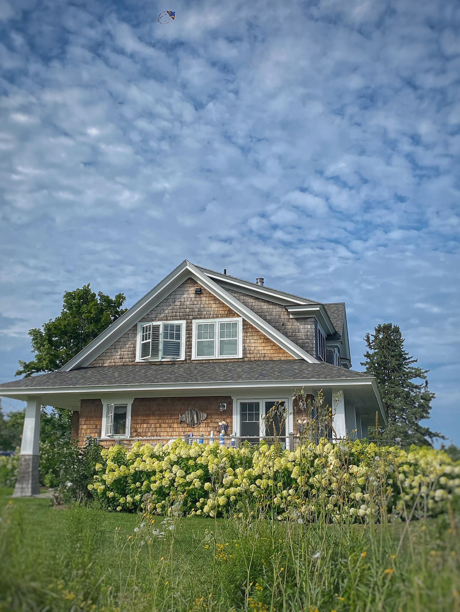 Weathered shingle-style Maine home surrounded by blooming Limelight hydrangeas, with a colorful kite flying high in the summer sky.